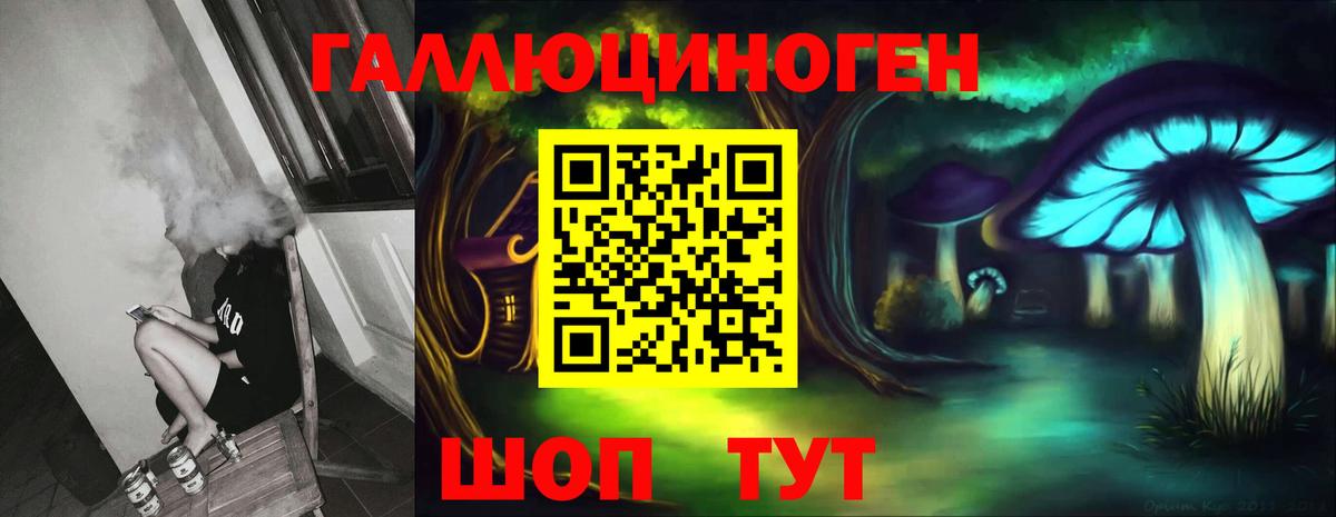 Старая Купавна  Псилоцибиновые грибы MAGIC MUSHROOMS  Вход с VPN 